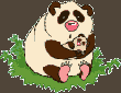 panda1.gif