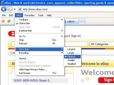 IE Text Size.JPG